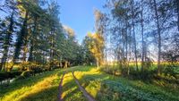 Radwanderweg im Spreewald